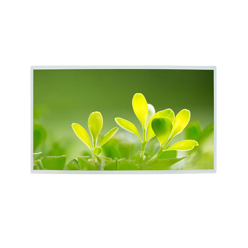 21,5 'Kõrge heledusega FHD IPS Color TFT LCD kuvamoodul